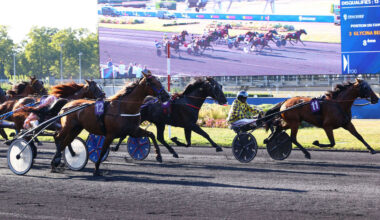 Arrivée du quinté du lundi 25 août à Vincennes : Flash Money enflamme les rapports