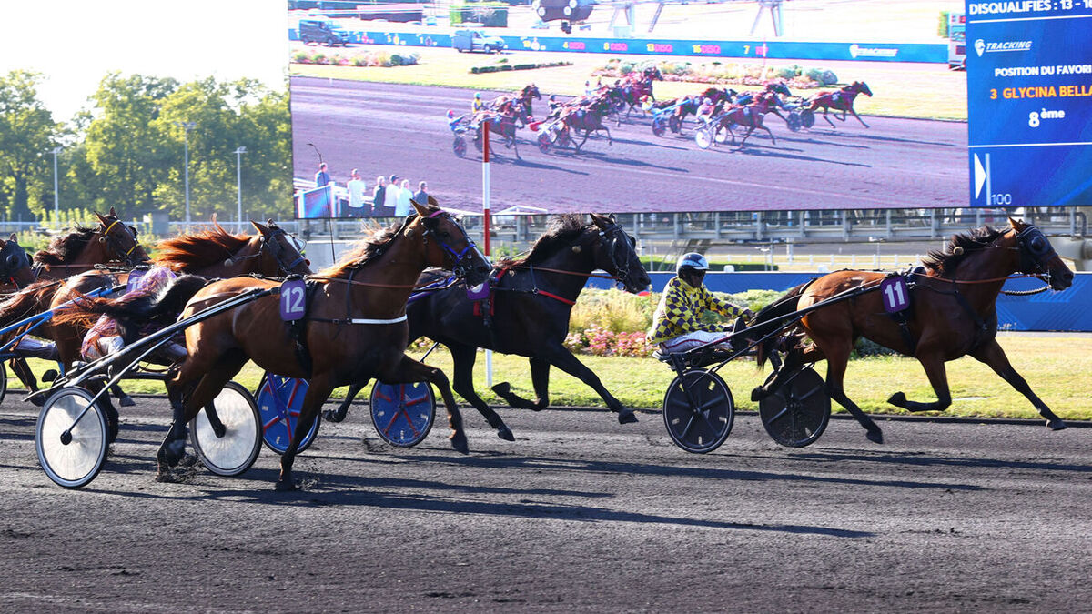 Arrivée du quinté du lundi 25 août à Vincennes : Flash Money enflamme les rapports