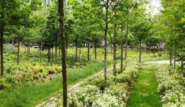 à Paris, les îlots de fraîcheur servent de refuge face à la canicule – Libération