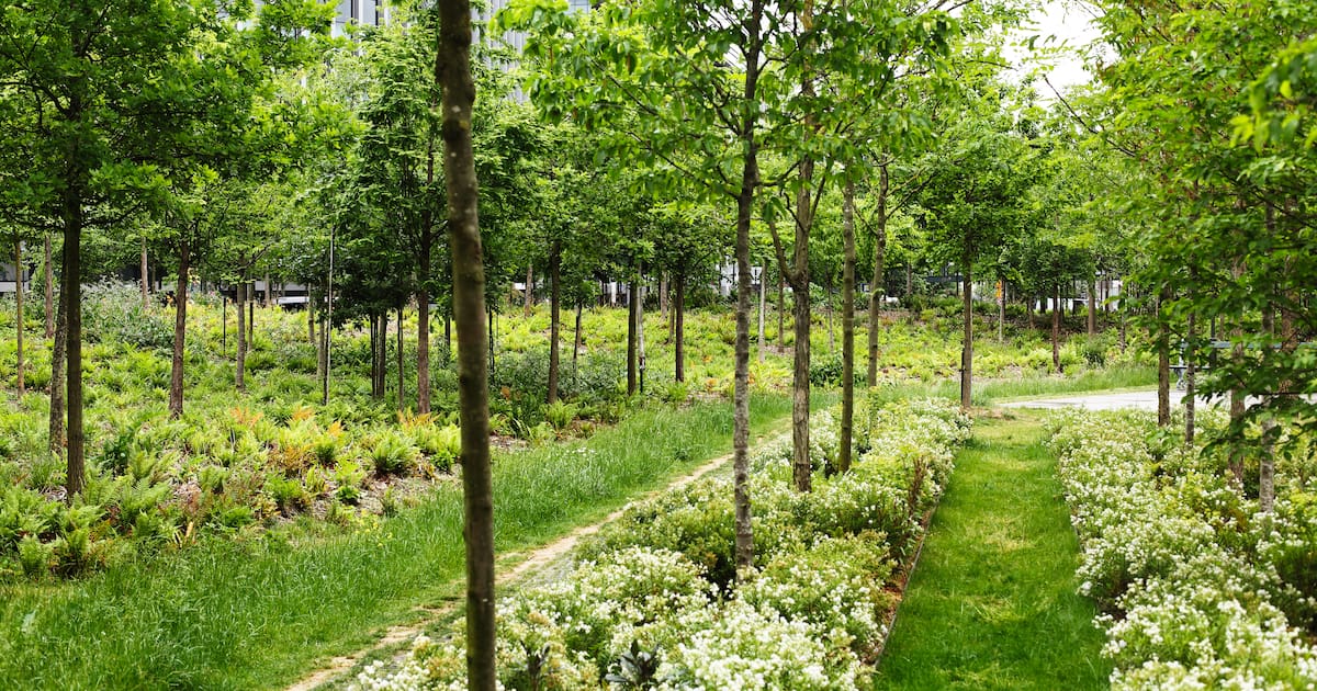 à Paris, les îlots de fraîcheur servent de refuge face à la canicule – Libération