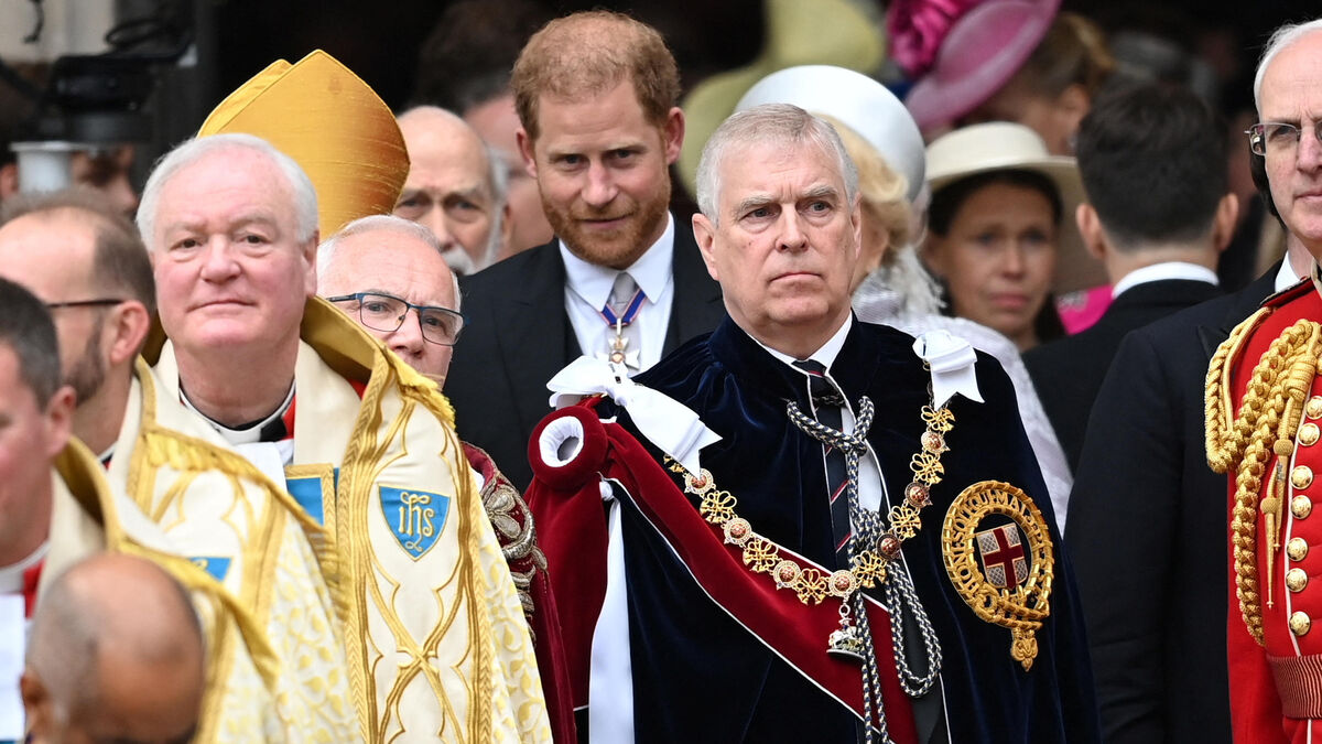 « Le nez en sang » : le prince Harry nie toute « bagarre physique » avec son oncle le prince Andrew