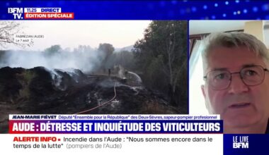 “Aujourd’hui, on est la plus grosse force aérienne de bombardiers d’eau sur l’Union européenne”, assure Jean-Marie Fiévet (Ensemble)