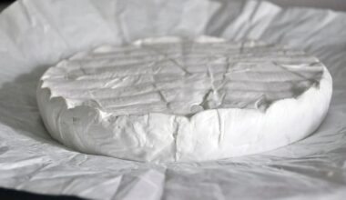 y a-t-il eu des défaillances dans le processus de contrôle ? – Libération