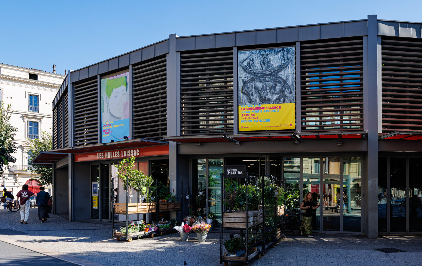 Montpellier : quatre festivals emblématiques s’affichent sur les halles