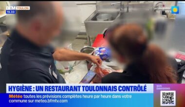 Hygiène : un restaurant toulonnais contrôlé