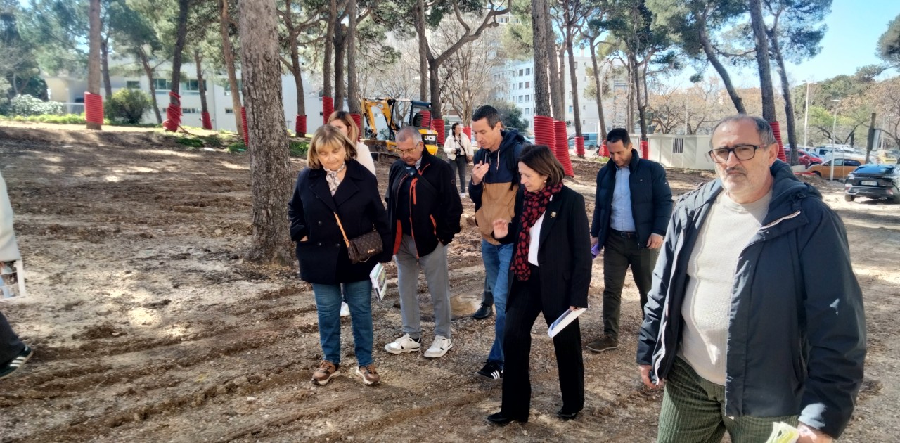 Toulon : le projet d’extension du parc des Lices entre dans sa phase végétalisation
