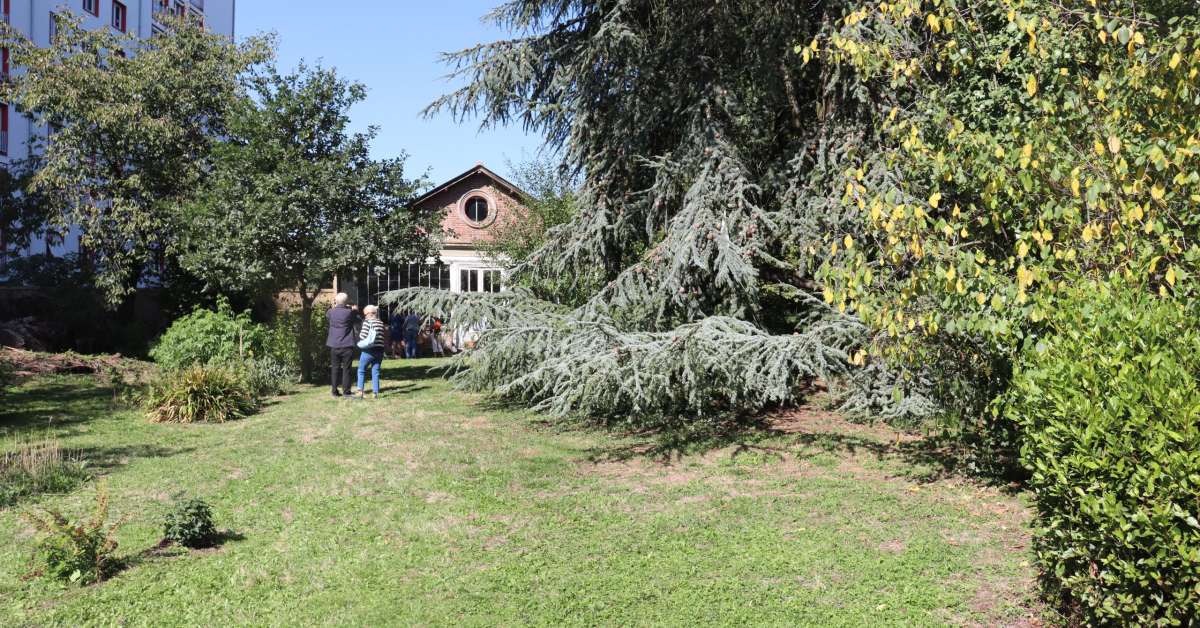 Les lieux insolites de Rennes : mémoire, mystères et merveilles