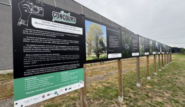Guer. Concours photos de l'UTL : deux nouvelles photos sélectionnées