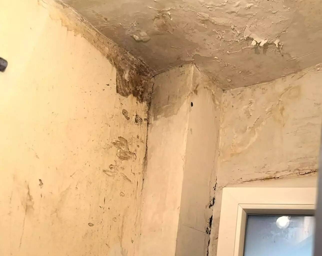 Après 4 ans d'insalubrité dans les logements, les travaux ont (enfin) débuté dans cette résidence HLM de Nice-Ouest