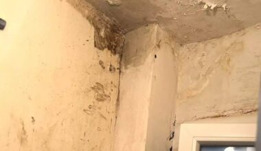 Après 4 ans d'insalubrité dans les logements, les travaux ont (enfin) débuté dans cette résidence HLM de Nice-Ouest