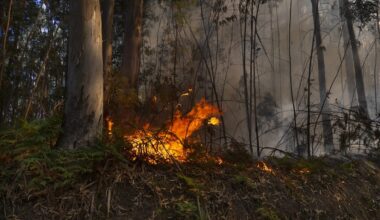incendie