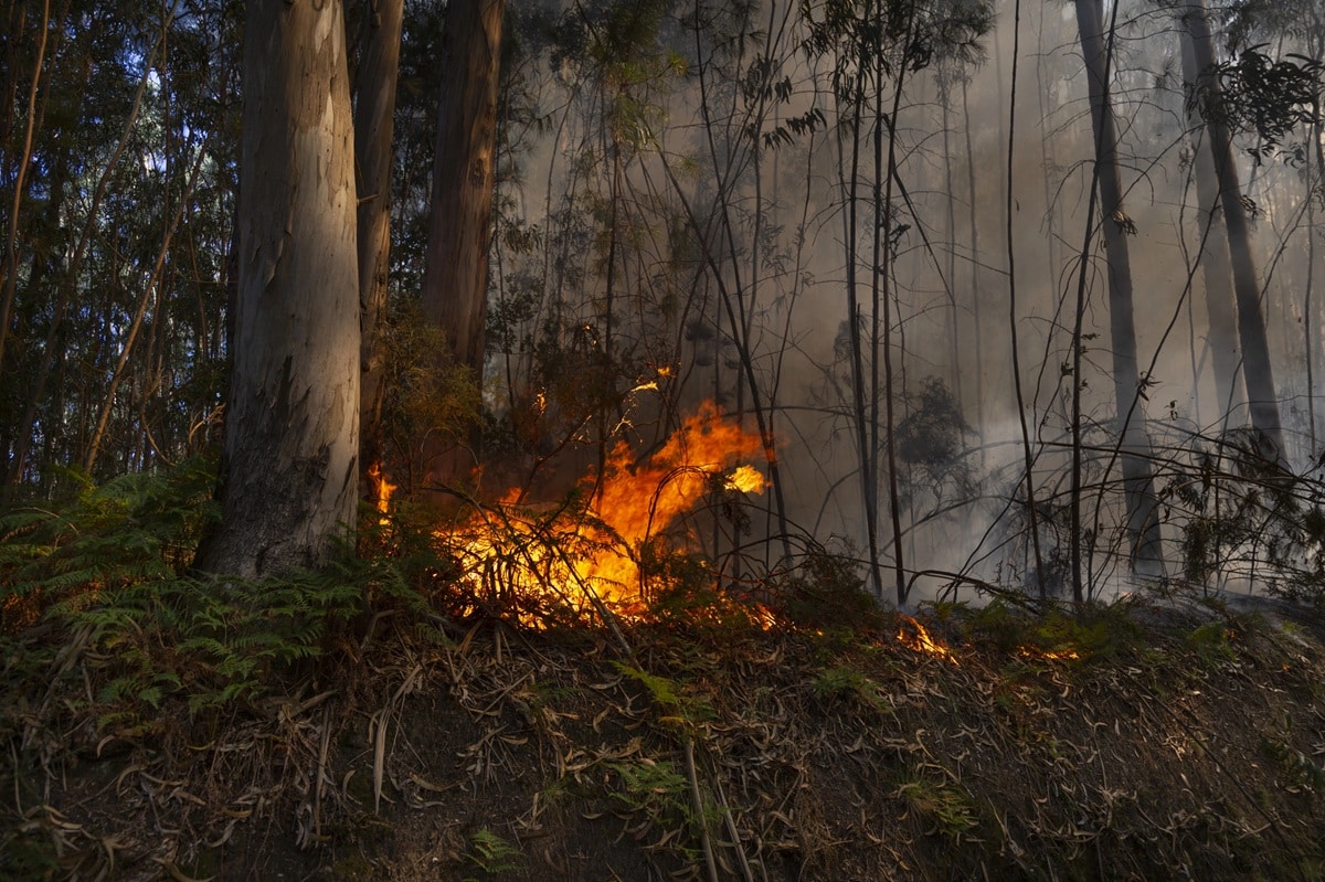 incendie