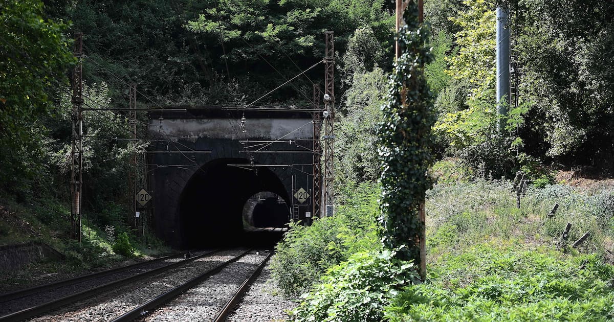 deux adolescentes meurent après avoir été percutées par un train dans un tunnel – Libération