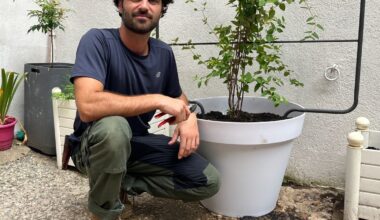« La végétalisation des villes est un sujet capital » : dans les rues de Lyon, l’action d’un paysagiste bénévole fait débat