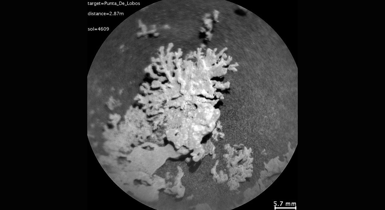 La NASA découvre un « corail » vieux de plusieurs milliards d'années sur Mars