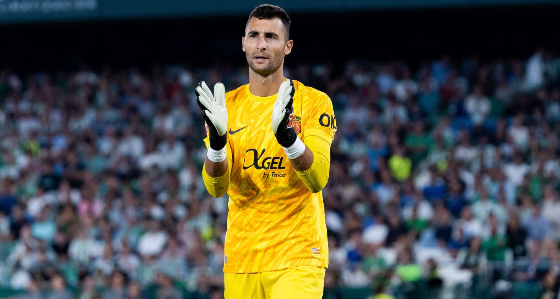 l'OL officialise son nouveau gardien, Nice se renforce en attaque