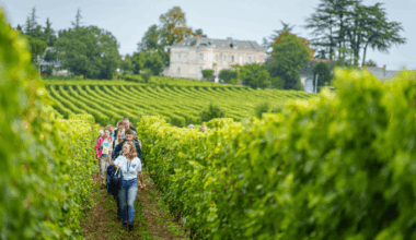 Les Echappées en Loire 2025