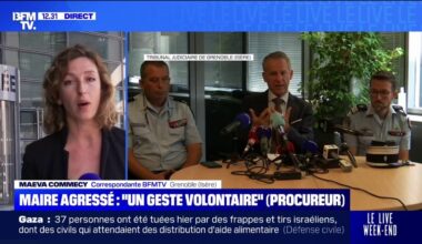 le procureur de Grenoble réclame la qualification de tentative d'assassinat sur personne dépositaire de l'autorité publique contre le mis en cause