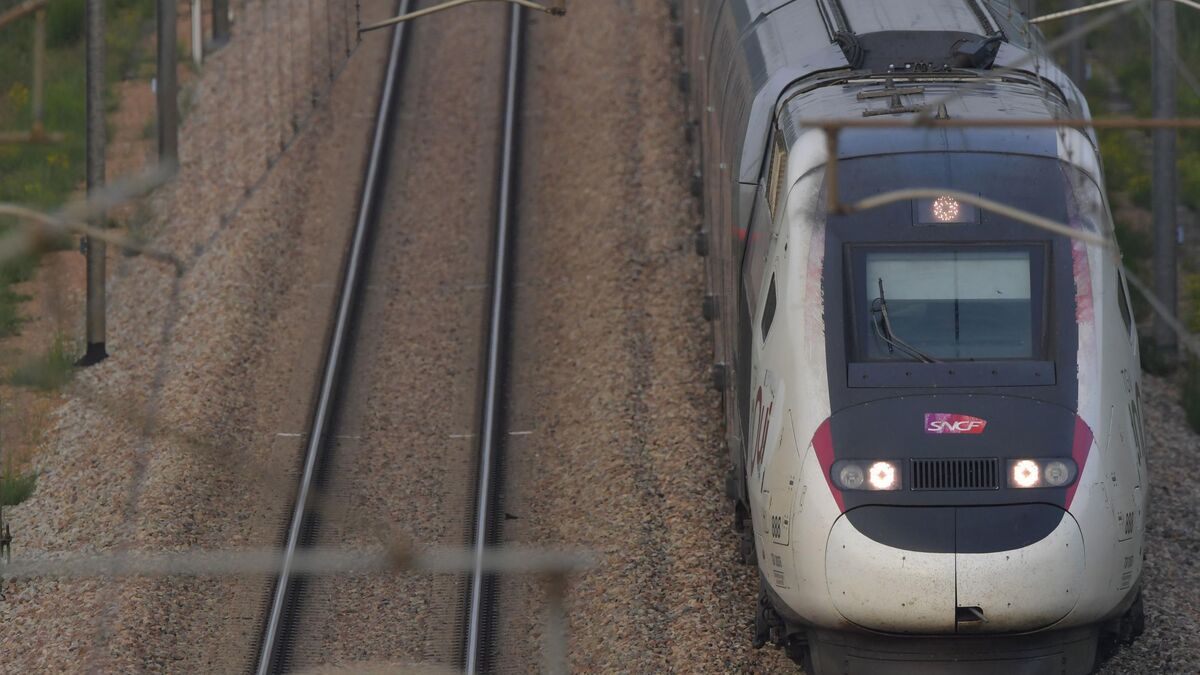300 000 euros de bijoux disparus : un couple victime d’un vol à bord d’un TGV entre Aix-en-Provence et Paris
