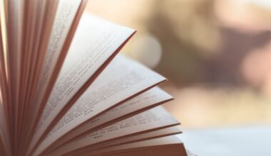 C'est la Fête du livre à Saint-Armand - M105 - FM 104,9