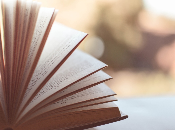 C'est la Fête du livre à Saint-Armand - M105 - FM 104,9