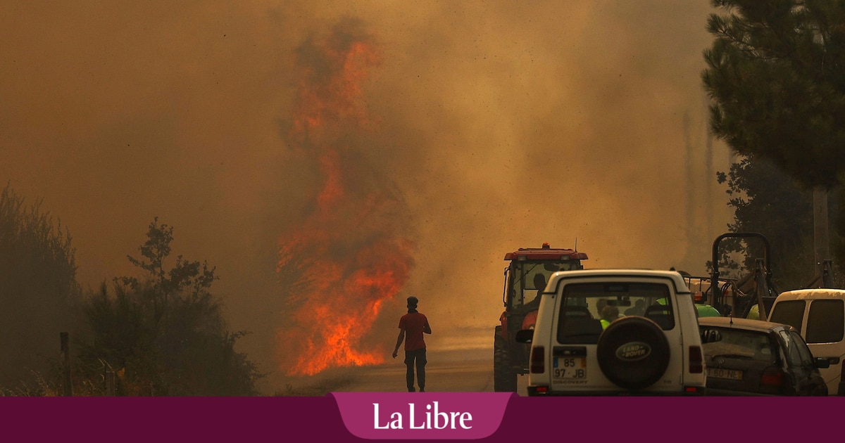 Le Portugal veut aussi l'aide de l'Europe pour combattre les incendies