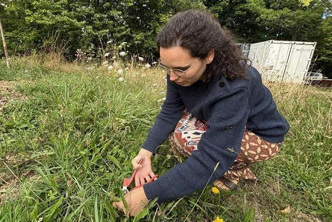 Chantepie. Un atelier de cuisine avec des herbes sauvages