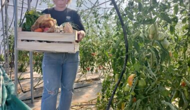 Maraîchère en Ille-et-Vilaine, elle a fait le choix du bio pour ses paniers de fruits et légumes