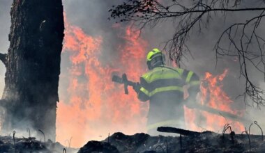 Les mots de l’été : ces mégafeux qui jettent une ombre sur l’été