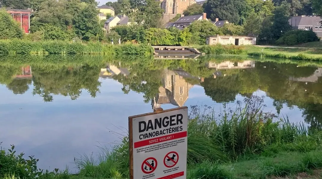 Appel à la prudence après la contamination d’un étang dans cette commune au nord de Rennes