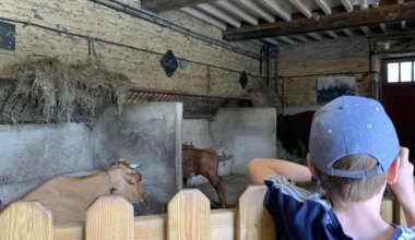 Spectacles d’humour, lecture, bricolage… Nos coups de cœur ce mercredi à Rennes