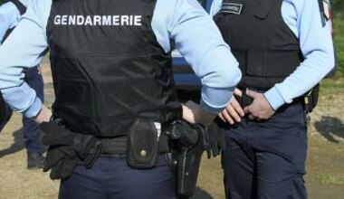 Chevaux mutilés en Seine-Maritime : le parquet annonce qu’un suspect a été placé en garde à