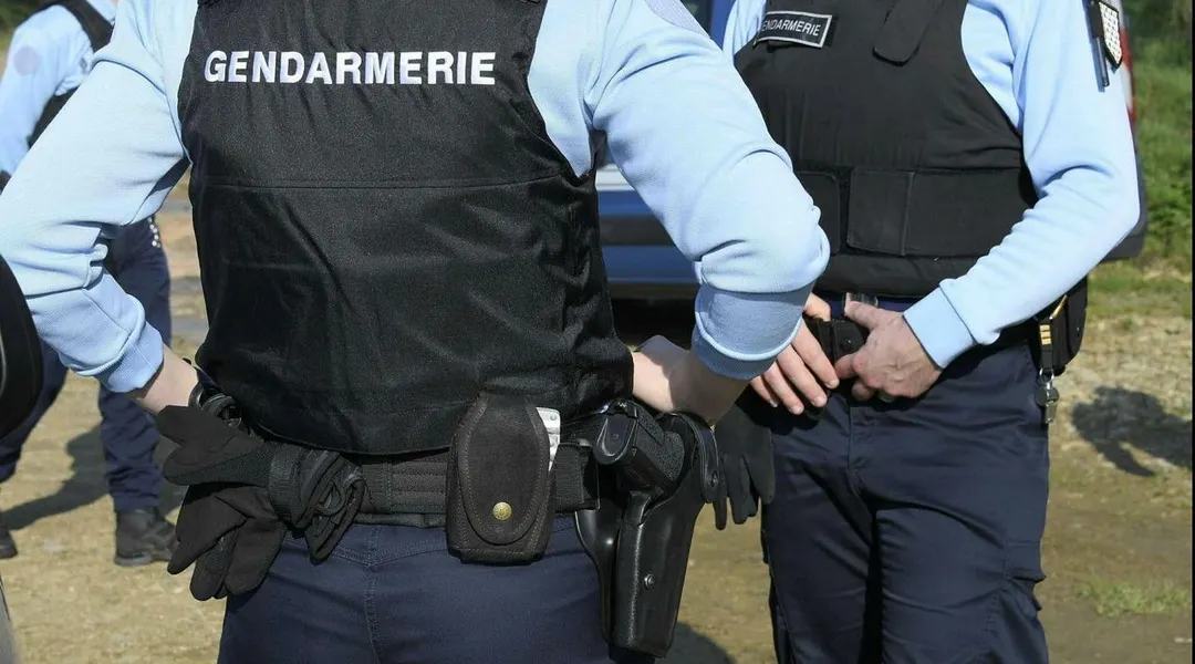 Chevaux mutilés en Seine-Maritime : le parquet annonce qu’un suspect a été placé en garde à