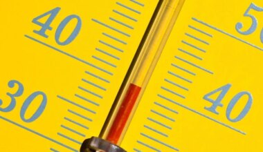 Pic de chaleur : comment le seuil des 40 °C est en train de se banaliser