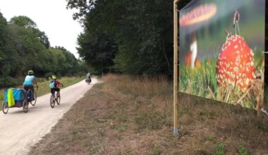 Le long du canal, une balade avec des œuvres artistiques comme fil rouge