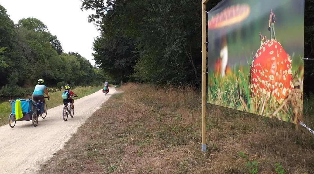 Le long du canal, une balade avec des œuvres artistiques comme fil rouge