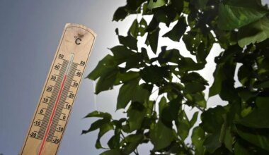 « Jusqu’à 38 °C » : un fort pic de chaleur attendu lundi en Ille-et-Vilaine