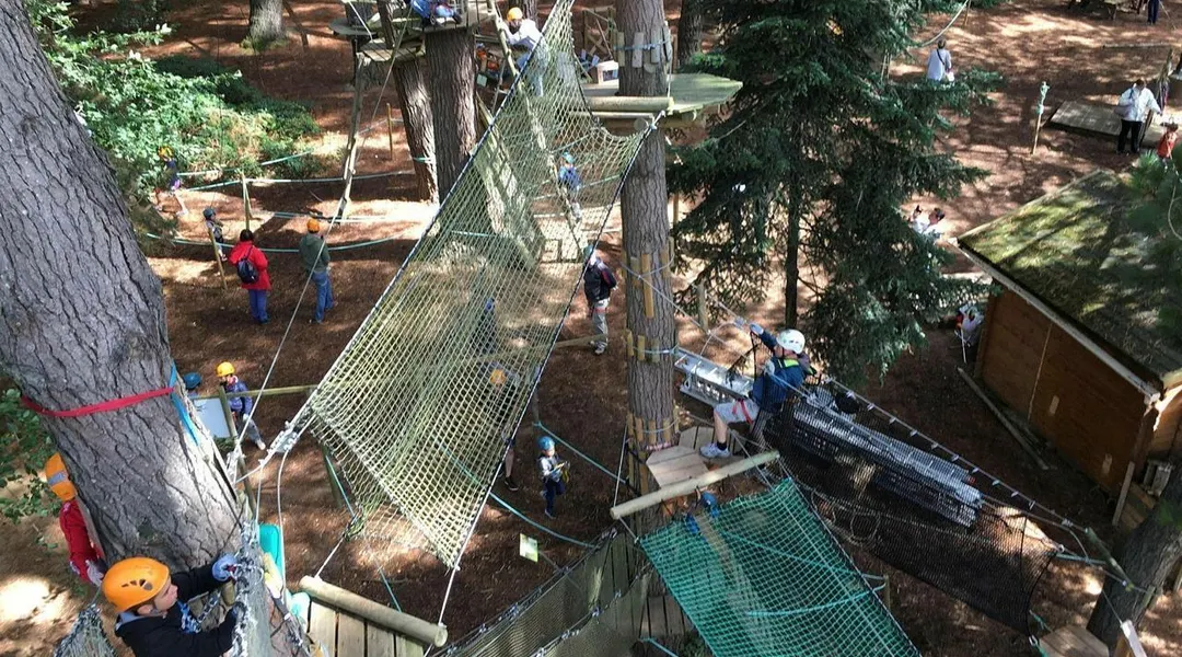 Une dose d’adrénaline au parc accrobranche à Rennes . Sport