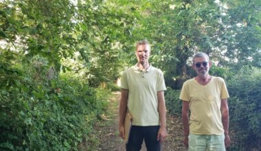 Cette association à St-Grégoire milite pour « la nécessité de grands arbres par forte