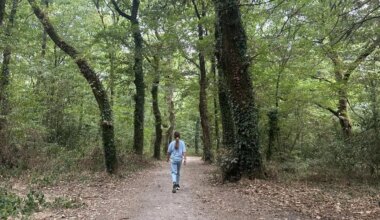 Se balader par tous les temps en forêt de Touffou, plus grand poumon vert de la métropole nantaise
