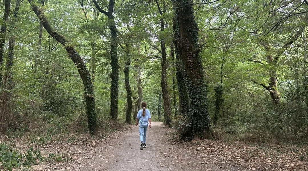 Se balader par tous les temps en forêt de Touffou, plus grand poumon vert de la métropole nantaise