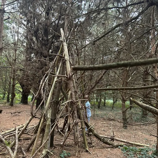 photo la forêt de touffou a la particularité d’être peuplée de cabanes sous forme de tipis.  ©  ouest-france