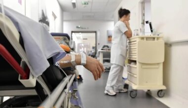 Un « véritable enfer » : des cafards envahissent le CHU de Lille, dénoncent les syndicats