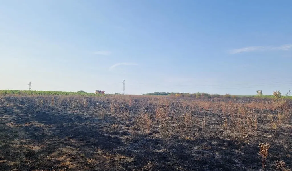 Incendie dans le vignoble de Nantes : 2 ha en feu près des lignes de train