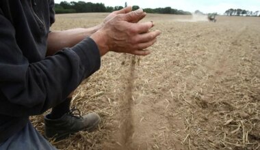 Sécheresse : le sud de l’Ille-et-Vilaine placé en alerte renforcée