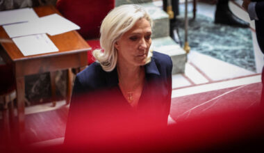 DIRECT. Loi Duplomb : après la censure de l’acétamipride, Le Pen reproche au Conseil constitutionnel de se comporter « comme un législateur »