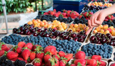 Révélés par une nouvelle étude, ces aliments pourraient vraiment améliorer votre sommeil