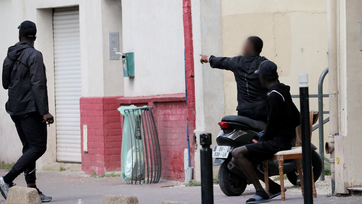 Distribution de cahiers, bricolage et châteaux gonflables… Quand les narcotrafiquants achètent la paix sociale