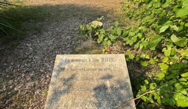 « Un acte antisémite » selon le maire : à Épinay, l’olivier dédié à Ilan Halimi a été tronçonné pendant la nuit