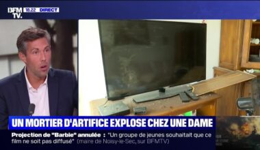 Story 2 : Marseille, un mortier d'artifice finit sur un balcon